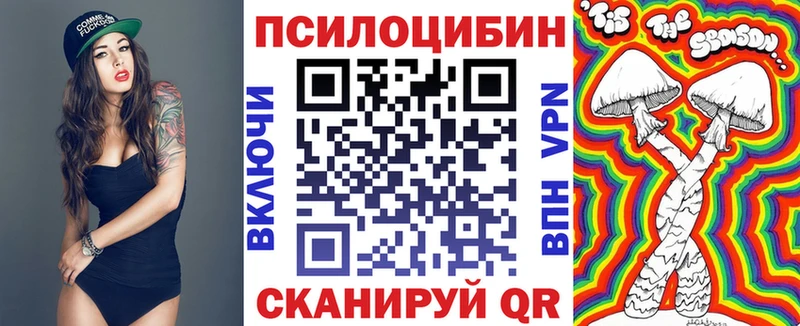 Галлюциногенные грибы Psilocybe Староминская